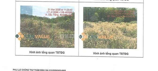 BÁN ĐẤU GIÁ TS VIB L4_LONG HOÀ, DẦU TIẾNG, BÌNH DƯƠNG, NAY LÀ TPHCM