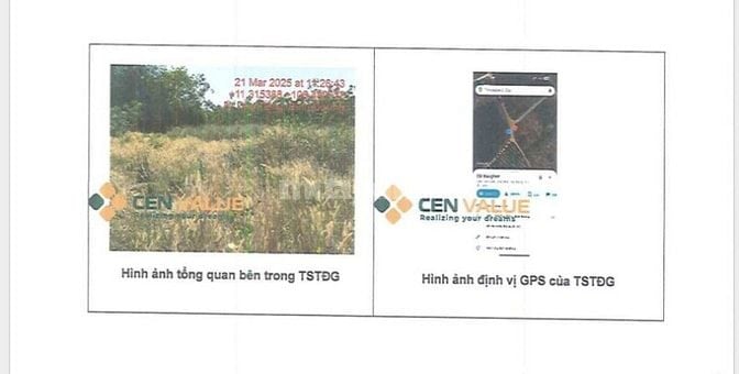 BÁN ĐẤU GIÁ TS VIB L4_LONG HOÀ, DẦU TIẾNG, BÌNH DƯƠNG, NAY LÀ TPHCM