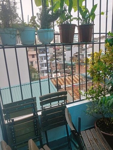 Bán  nhà host trung tâm phố cổ Ngọc Lâm 6 tầng thang máy .Giá 8,95 tỷ