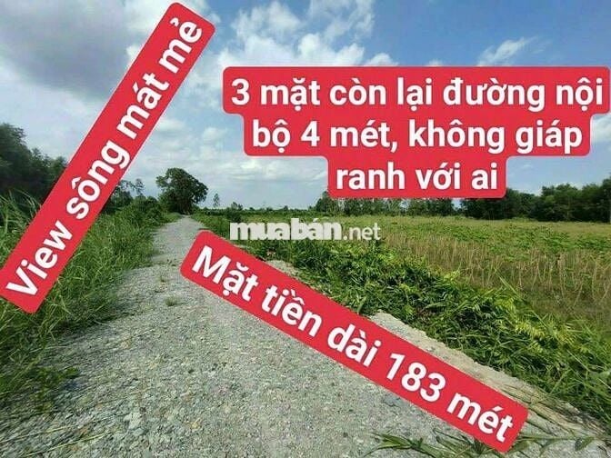 Bán đất long an cũ nay là tây ninh ngang măt tiền lớn 183m