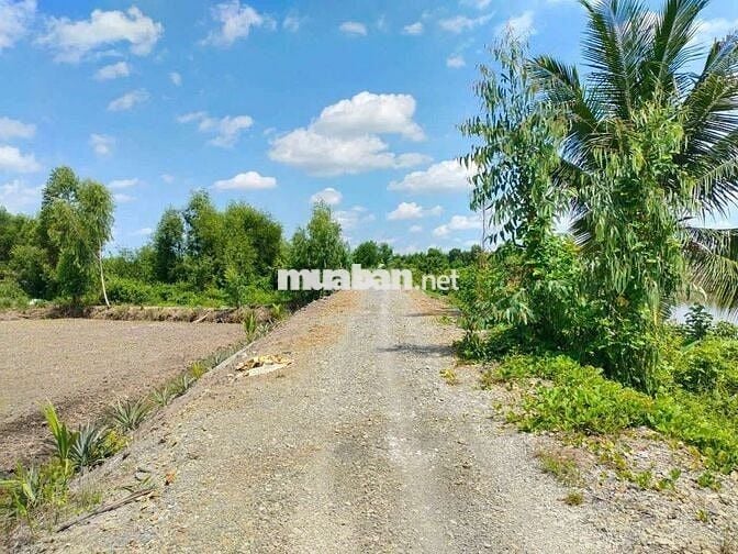 Bán đất long an cũ nay là tây ninh ngang măt tiền lớn 183m