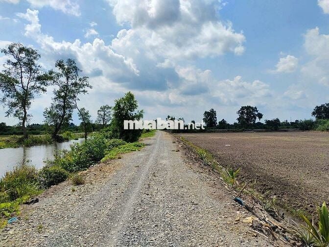 Bán đất long an cũ nay là tây ninh ngang măt tiền lớn 183m