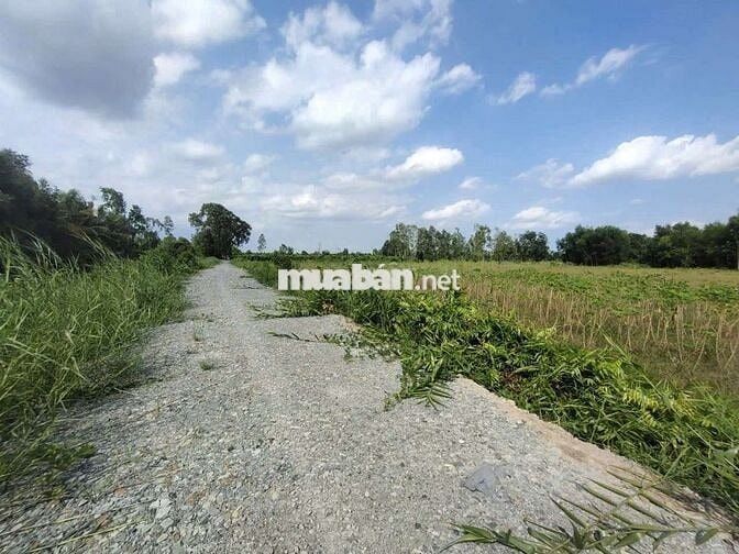 Bán đất long an cũ nay là tây ninh ngang măt tiền lớn 183m