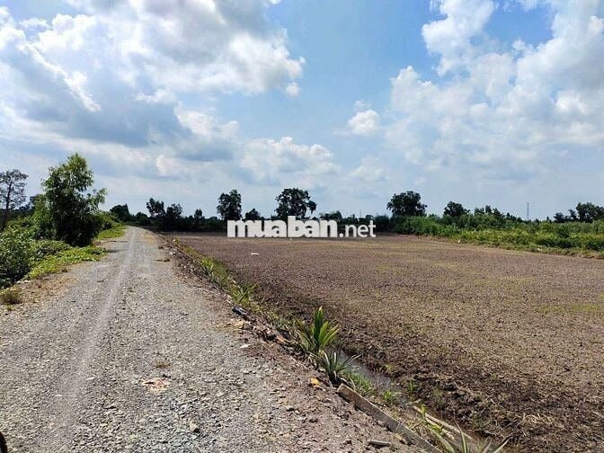 Bán đất long an cũ nay là tây ninh ngang măt tiền lớn 183m