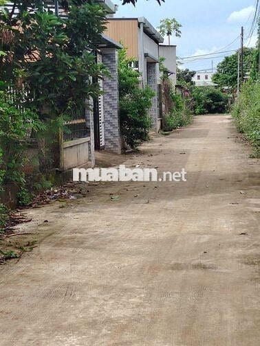 #Đất view núi Chứa Chan, Xuân Lộc, 650 triệu, 147m2