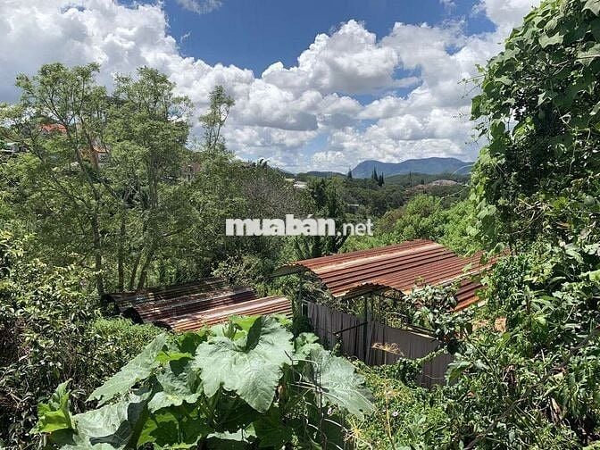 Đất ĐÀ LẠT đường Lê Văn Tám giá 65 tỉ diện tích 1264m2 thổ cư 295m2