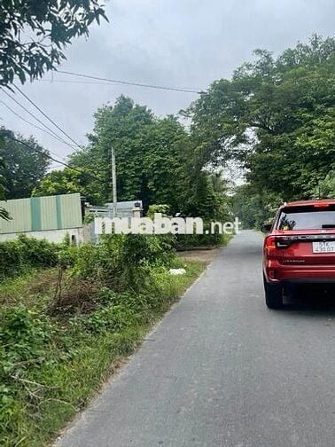 Rút vốn bán rẻ lô đất 293m2 có 100m thổ măt tiền đường nhựa xã Thái Mỹ