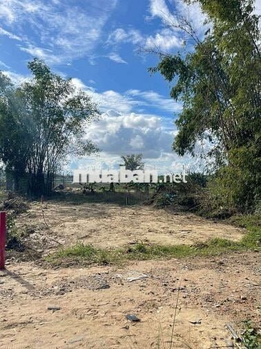 Bán lô đát kiệt nhựa ô tô vào tận nơi