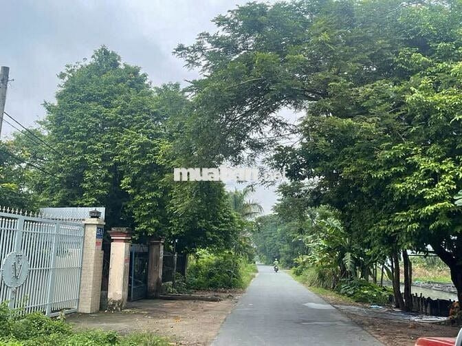 Rút vốn bán rẻ lô đất 293m2 có 100m thổ măt tiền đường nhựa xã Thái Mỹ