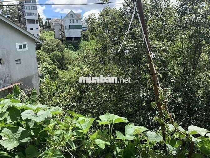 Đất ĐÀ LẠT đường Lê Văn Tám giá 65 tỉ diện tích 1264m2 thổ cư 295m2