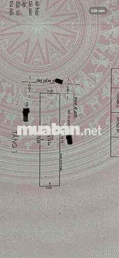 ĐẤT TRỐNG ÂU CƠ-ĐH VĂN HIẾN-HẺM 4M THÔNG TỨ TUNG