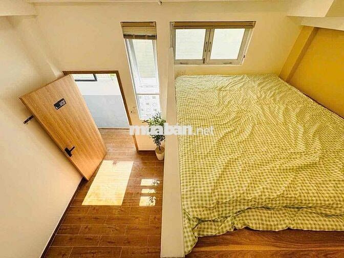 🌸🌸🌸 Duplex thiết kế hiện đại với gam màu cực thư giãn