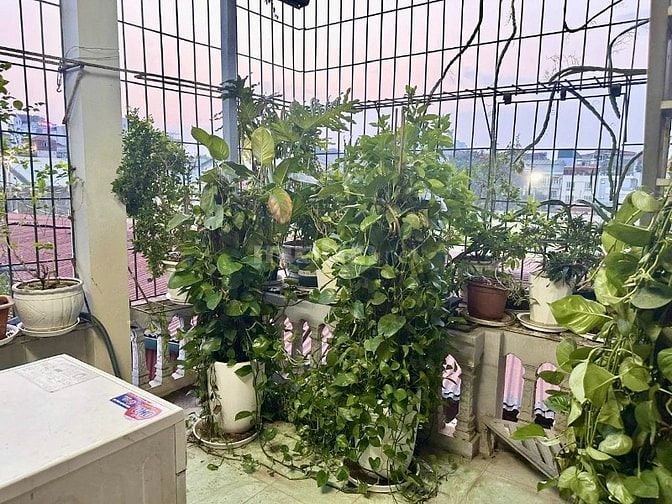 50m² PHÚC TÂN HỒNG HÀ_5 tầng 1 tum, NGÕ THÔNG, thoáng sáng