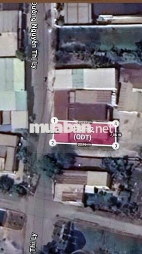 Đất Mặt tiền Đ.Nguyễn Thị Ly ,DT: 8 x 23 vị trí kinh doanh buôn bán