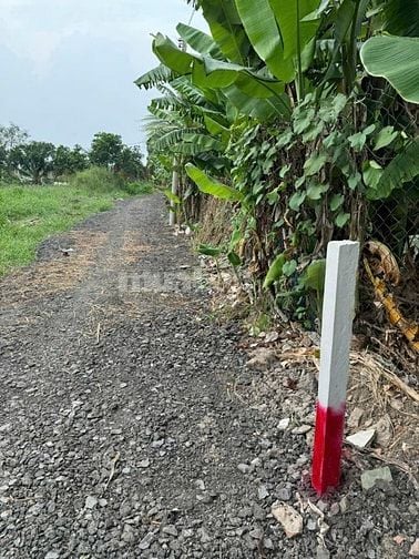 Bán đất DT 60x30m, 2 mặt đường phường Thới An, quận 12