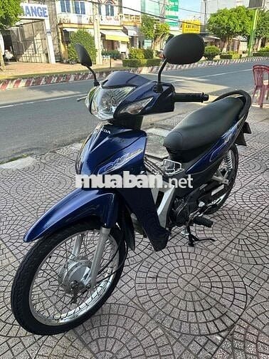 anpha 2020 zin dep vĩnh long