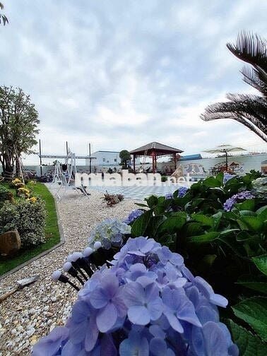 🔥 Biệt Thự Sân Vườn 1000m² – Full Thổ Cư – Full Nội Thất – Giá Sốc