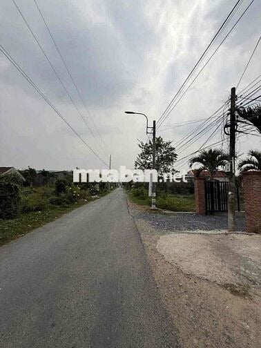 🔥 CHỈ 2 TỶ – ĐẤT ĐẸP HƯNG LONG, BÌNH CHÁNH – FULL THỔ CƯ, Ô TÔ TỚI N