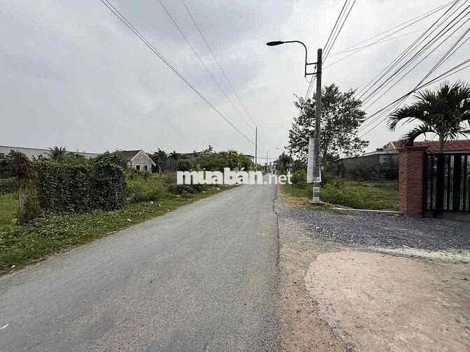 🔥 CHỈ 2 TỶ – ĐẤT ĐẸP HƯNG LONG, BÌNH CHÁNH – FULL THỔ CƯ, Ô TÔ TỚI N