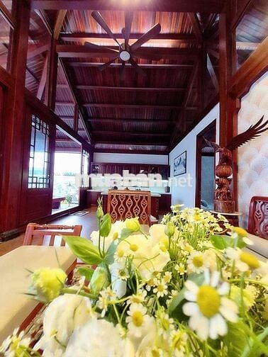 🔥 Biệt Thự Sân Vườn 1000m² – Full Thổ Cư – Full Nội Thất – Giá Sốc