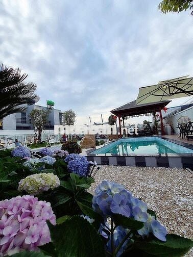 🔥 Biệt Thự Sân Vườn 1000m² – Full Thổ Cư – Full Nội Thất – Giá Sốc