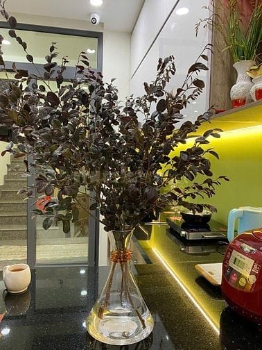   CHÍNH CHỦ đường nhựa 8m(14,9 tỷ) khu Vip Bình Lợi, P13, Q.BÌNH THẠNH