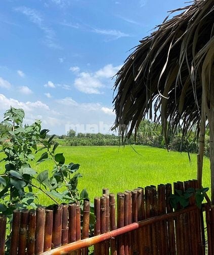 Đất view rộng 1700m2, giấy tờ đầy đủ, Nhơn Trạch, Đồng Nai