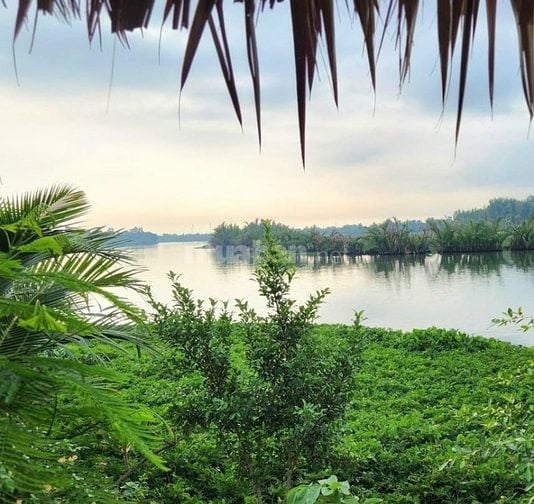 Đất view rộng 1700m2, giấy tờ đầy đủ, Nhơn Trạch, Đồng Nai