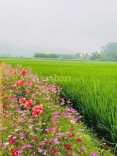 Bán lô đất 760m2 bám mặt đường to liên xã tại Cao Dương, Lương Sơn- HB