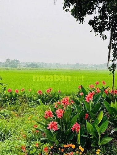 Bán lô đất 760m2 bám mặt đường to liên xã tại Cao Dương, Lương Sơn- HB