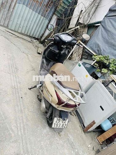 Honda Lead 2017 Vàng đen