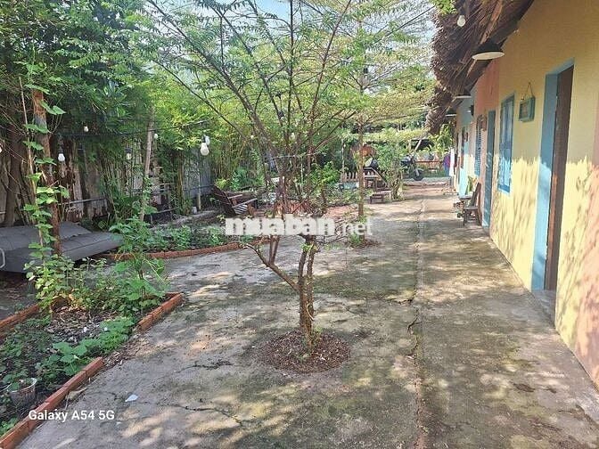 RIÊNG BIỆT NHƯ HOMESTAY DTSD:30M² WC RIÊNG SÂN CỔNG CHILL 100%NHƯ HÌNH