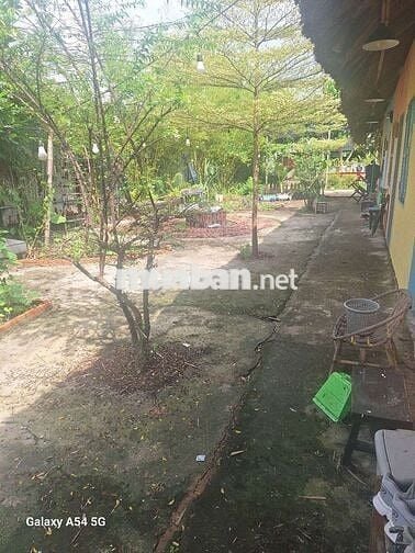 RIÊNG BIỆT NHƯ HOMESTAY DTSD:30M² WC RIÊNG SÂN CỔNG CHILL 100%NHƯ HÌNH