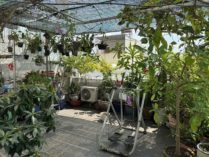 Hẻm 3m 66.7m2(5x13.4m) 4 tầng 5 PN Lý Thường Kiệt, p8, Tân Bình