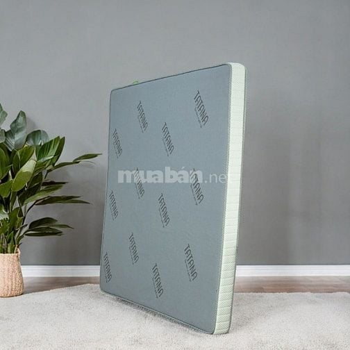 Nệm ép dẻo TATANA (thẳng) êm ái, bảo hành 10 năm