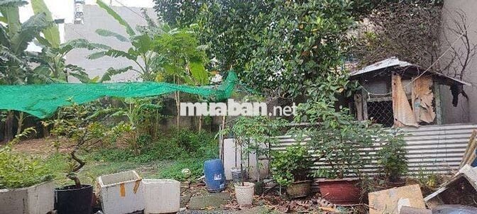 LÔ ĐẤT NỞ HẬU RẤT ĐẸP ĐƯỜNG 6M