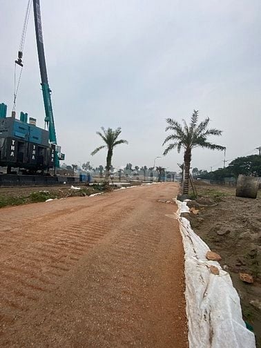 Giá rẻ nhất dự án Palmy Biztown,Hơn 8 tỷ lô lk 2 mặt thoáng.Mặt tiền5m