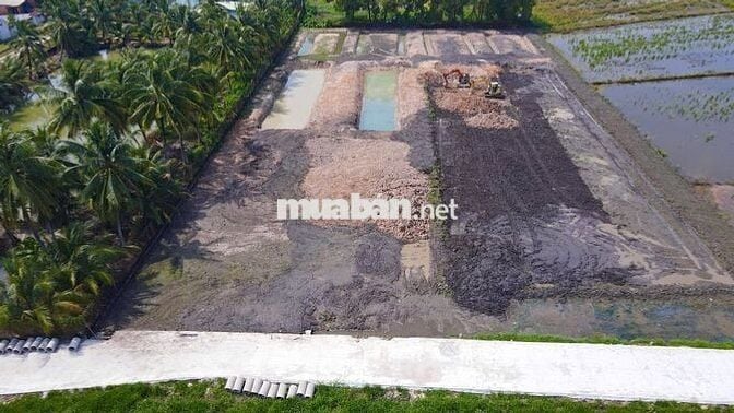 Đất vườn 1600m2, TT. Gò Dầu, Tây Ninh, SHR, dân cư sầm uất, giá 1,6 tỷ