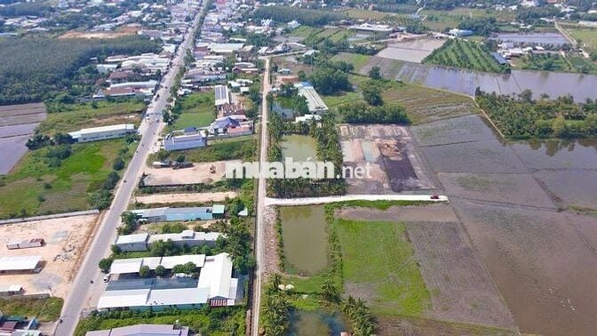 Đất vườn 1600m2, TT. Gò Dầu, Tây Ninh, SHR, dân cư sầm uất, giá 1,6 tỷ