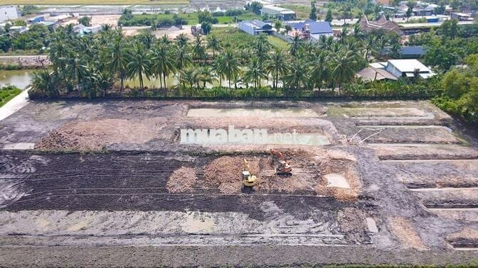 Đất vườn 1600m2, TT. Gò Dầu, Tây Ninh, SHR, dân cư sầm uất, giá 1,6 tỷ