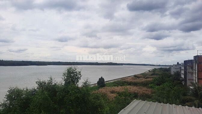 Bán đất xã Tam Thôn Hiệp, Cần Giờ, tặng nhà yến, 150m2