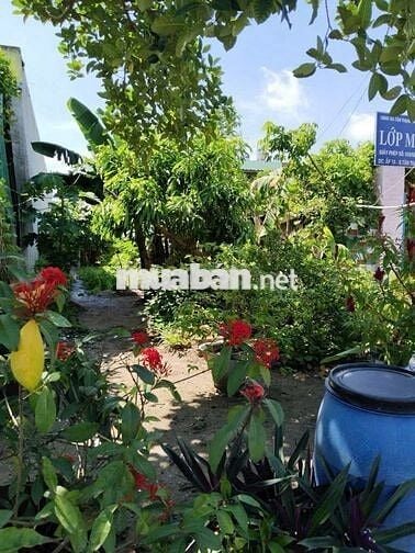 CHỦ GẤP BÁN - ĐẤT THỔ CƯ – ĐƯỜNG XE HƠI 10M – TÂN THẠNH ĐÔNG, CỦ CHI