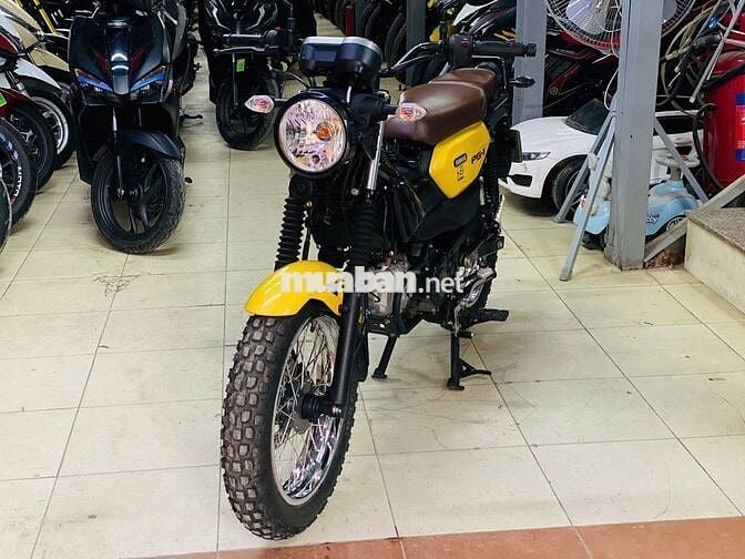 XE MÁY THỊNH PHÁT - PG1 VÀNG ĐEN ZIN CHẤT ĐI LƯỚT