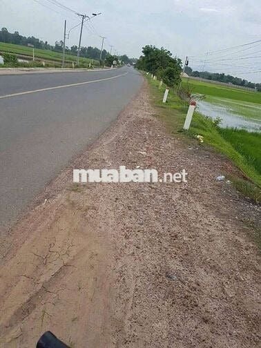 📚𝐂𝐚̂̀𝐧 𝐛𝐚́𝐧 𝐠𝐚̂́𝐩- 𝐓𝐀̂𝐘 𝐍𝐈𝐍𝐇 Mặt Tiền đường 788