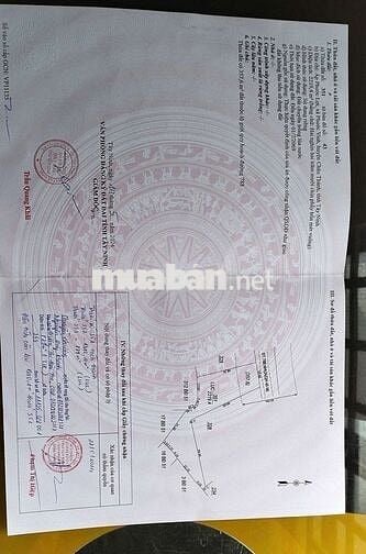 📚𝐂𝐚̂̀𝐧 𝐛𝐚́𝐧 𝐠𝐚̂́𝐩- 𝐓𝐀̂𝐘 𝐍𝐈𝐍𝐇 Mặt Tiền đường 788