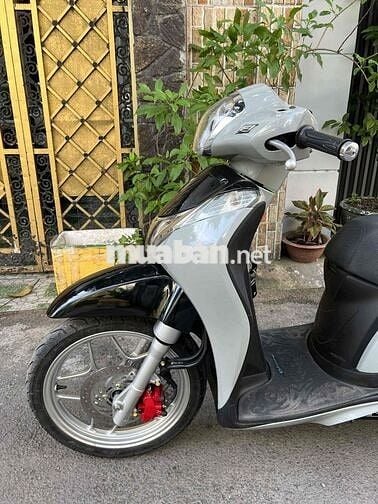 Sh mode màu xi măng Bstp