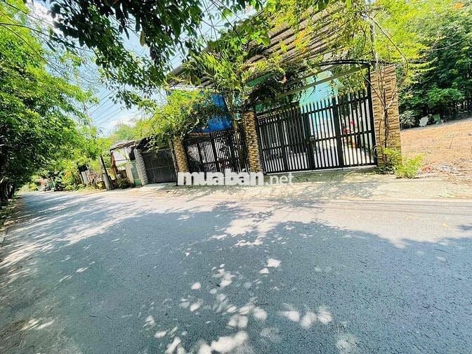 👉Mặt Tiền Nhựa thông Phú An , Cách DT744 Có 100m 👌 Dân Đông Nghẹt ,