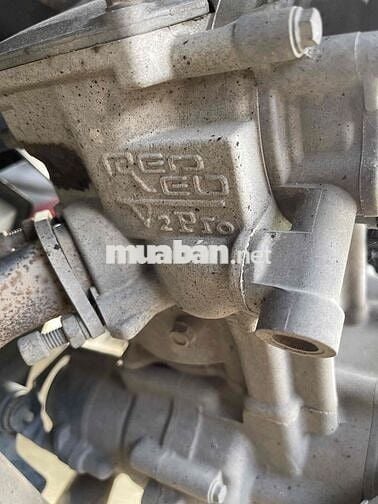 Exciter Up Led Máy Touring