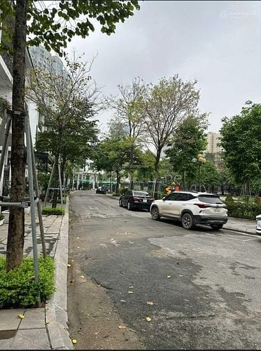 [Chính chủ] tôi cần bán lô Liền Kề-Mạc Thái Tông - Cầu Giấy. Dt 161 m,