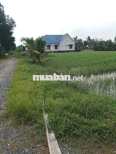 Đất nền Đức Hoà , Giá ngộp, bán lỗ 100 triệu.